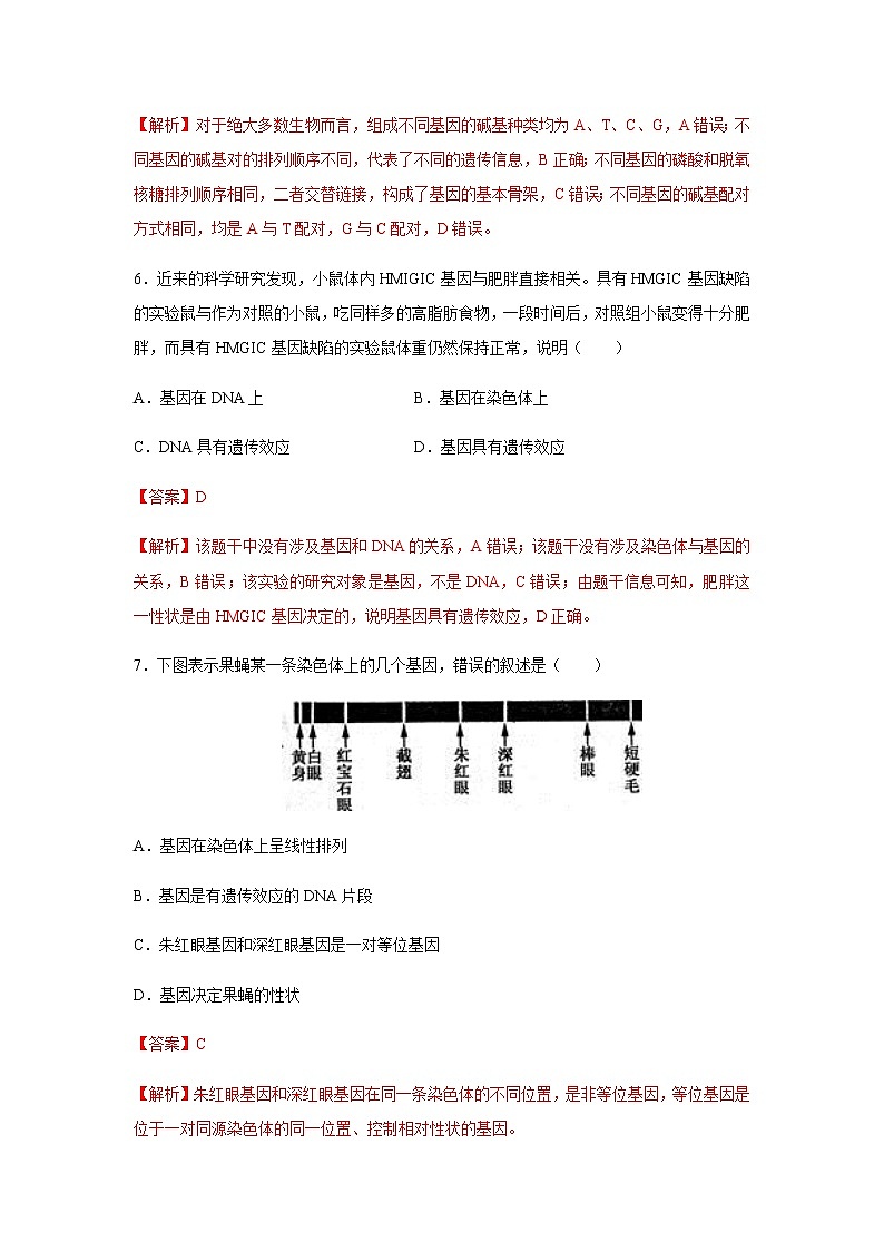 【新教材精创】3.4 基因通常是有遗传效应的DNA片段 练习（2）（解析版）03