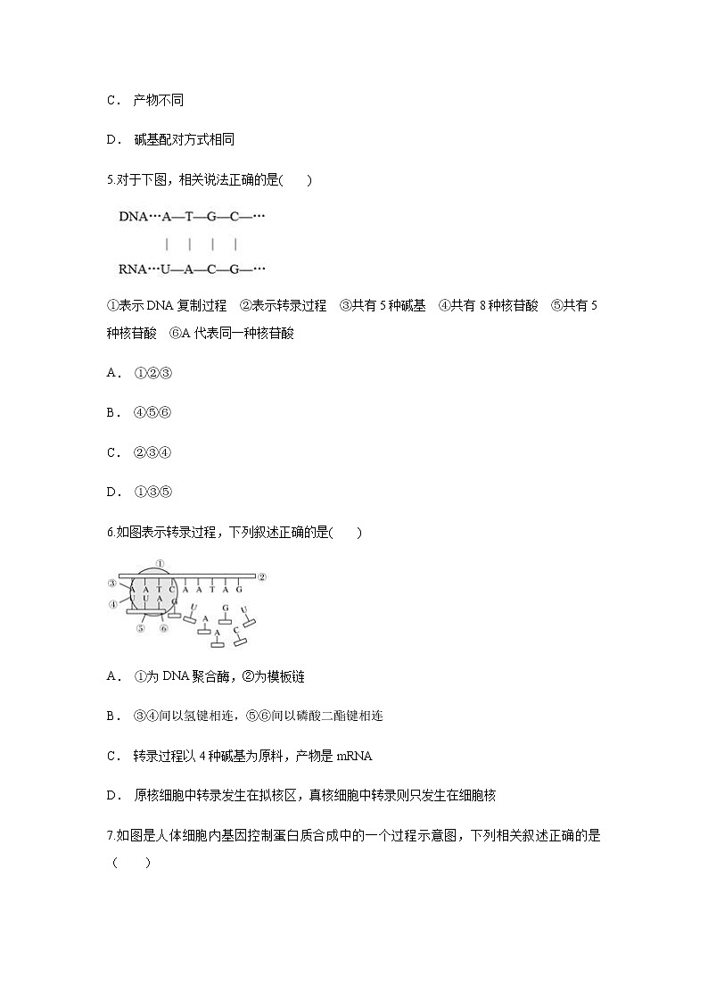 【新教材精创】4.1.1 基因指导蛋白质的合成 练习（1）（原卷版）第2页
