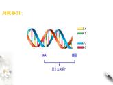 【新教材精创】3.4 基因通常是有遗传效应的DNA片段 课件（2）-人教版高中生物必修2遗传与进化(共18张PPT)