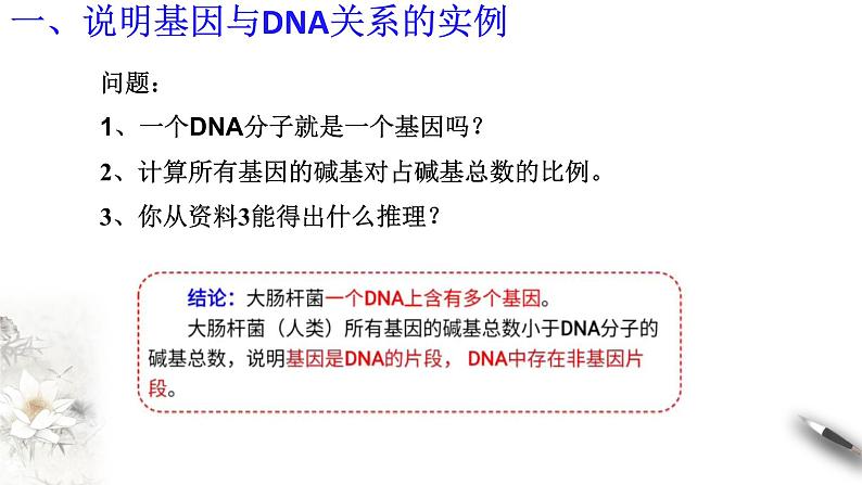 【新教材精创】3.4 基因通常是有遗传效应的DNA片段 课件（2）-人教版高中生物必修2遗传与进化(共18张PPT)第6页