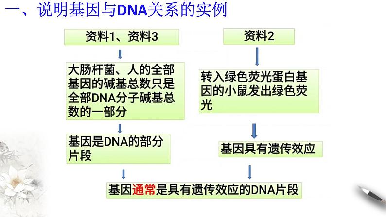 【新教材精创】3.4 基因通常是有遗传效应的DNA片段 课件（2）-人教版高中生物必修2遗传与进化(共18张PPT)第8页