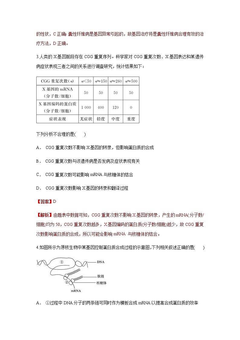 【新教材精创】4.1.2 基因指导蛋白质的合成 练习（1）（解析版）第2页