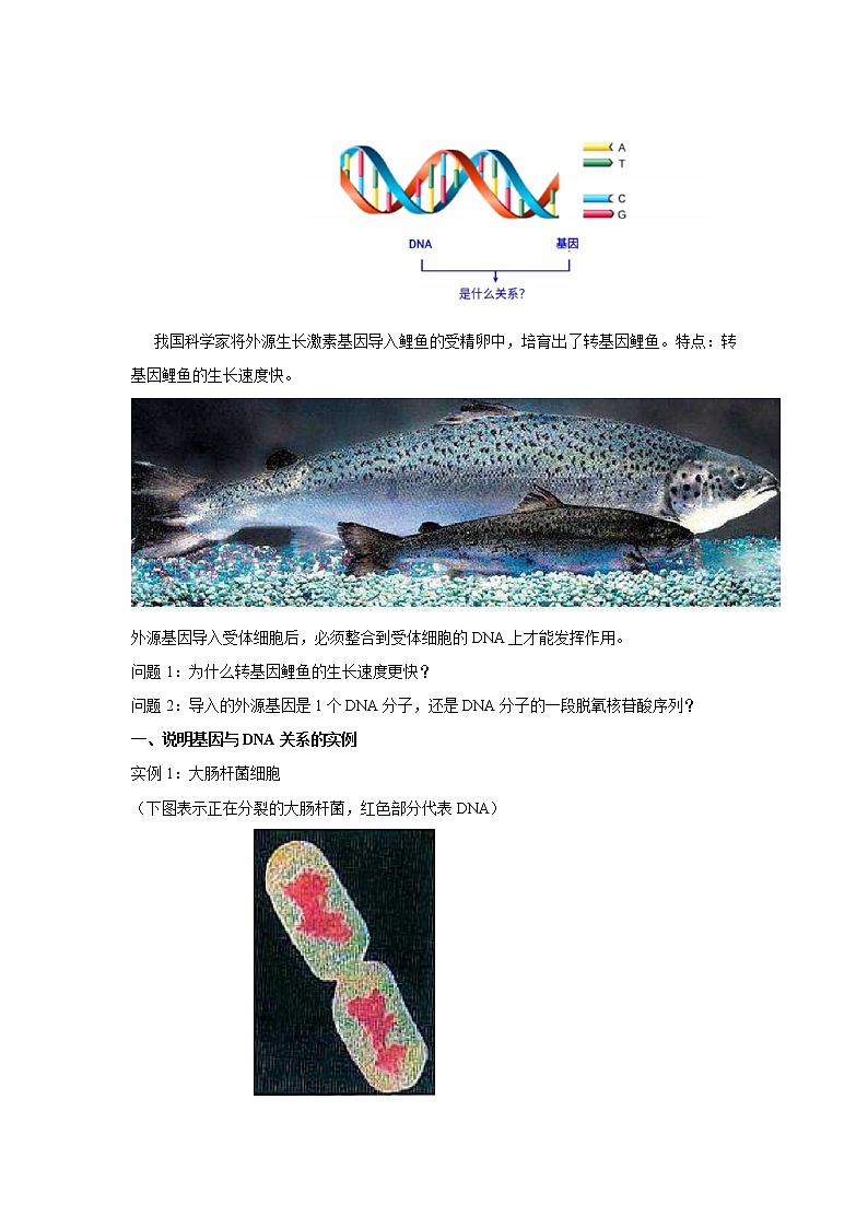 【新教材精创】3.4 基因通常是有遗传效应的DNA片段 教学设计（2）-人教版高中生物必修2遗传与进化02