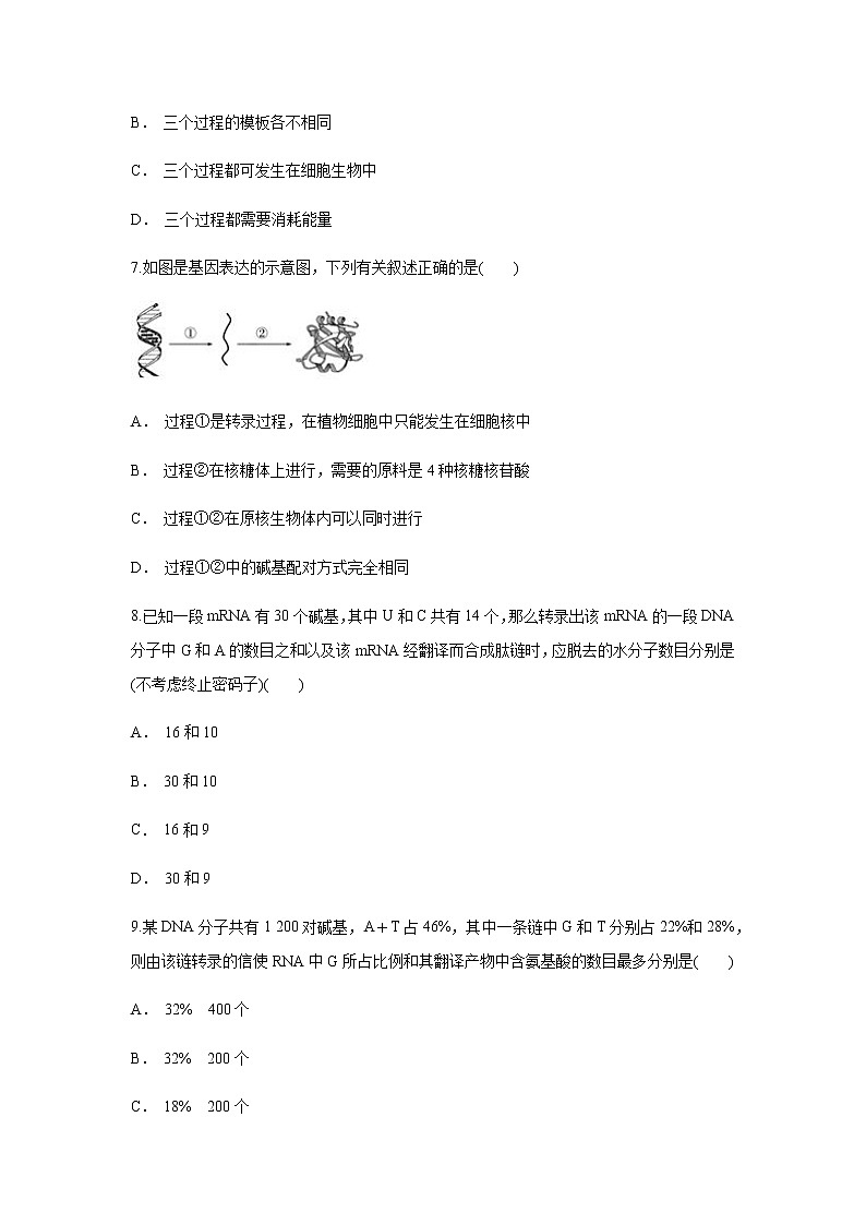 【新教材精创】4.1.2 基因指导蛋白质的合成 练习（1）（原卷版）03