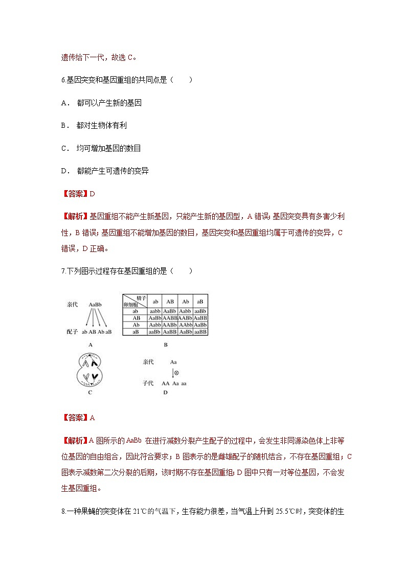 【新教材精创】5.1 基因突变和基因重组 练习（1）（解析版）第3页