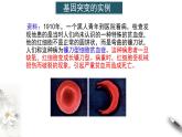 【新教材精创】5.1 基因突变和基因重组 课件（1）-人教版高中生物必修2遗传与进化(共32张PPT)
