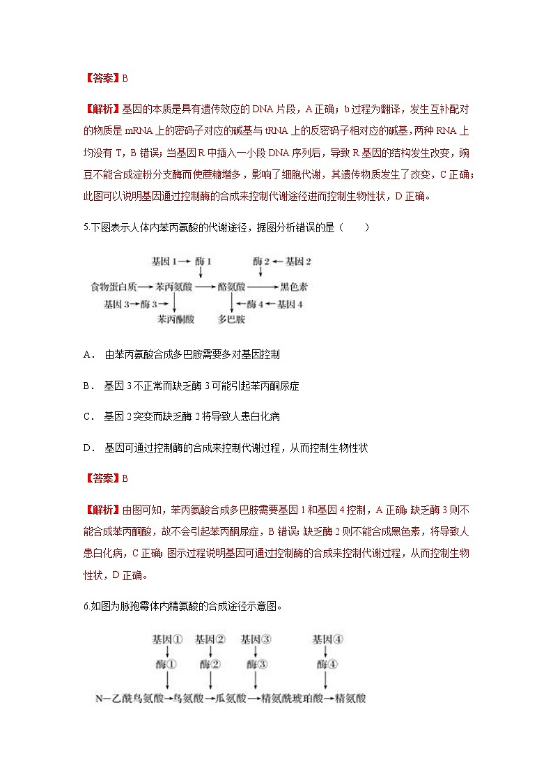 【新教材精创】4.2 基因表达与性状的关系 练习（1）（解析版）03