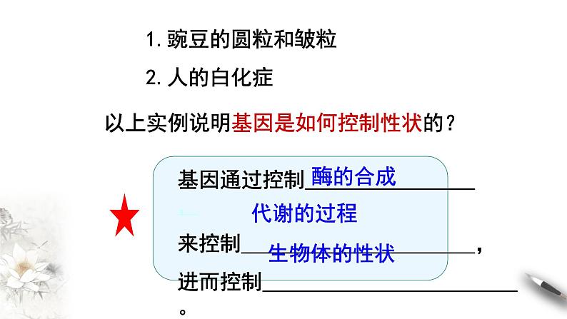 【新教材精创】4.2 基因表达与性状的关系 课件（1）-人教版高中生物必修2遗传与进化(共20张PPT)第6页