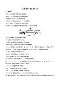 高中化学人教版 (2019)必修 第二册实验活动5 不同价态含硫物质的转化课时作业