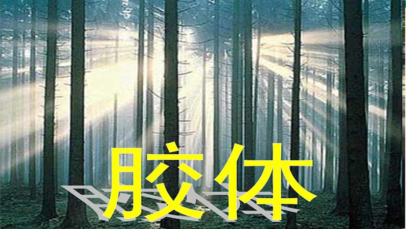 山东科技版高中化学必修第一册 2.1.2《一种重要的混合物——胶体》课件PPT03