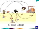 山东科技版高中化学必修第一册 3.3.1《氮气与氮的氧化物》课件PPT