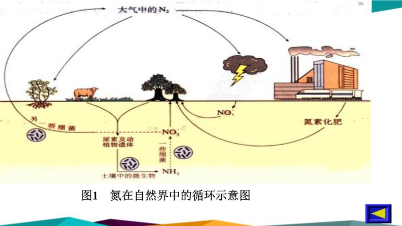 山东科技版高中化学必修第一册 3.3.1《氮气与氮的氧化物》课件PPT04