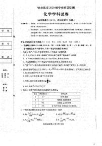 2023省哈尔滨高三上学期学业质量监测试题化学PDF版含答案