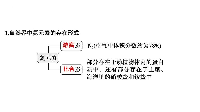 2023届高中化学一轮复习课件：氮及其重要化合物第4页