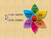 人教版高中化学选择性必修一第二章第一节化学反应速率（第2课时）课件1