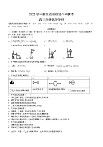 浙江省名校协作体2022-2023学年高三上学期开学考试 化学试题（含答案）