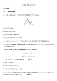 通用版高考化学考点题型拓展复习题十氮及其化合物含答案