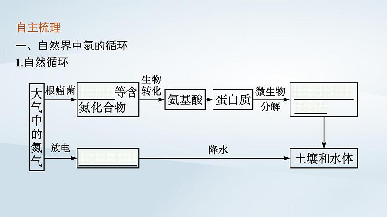 2022_2023学年新教材高中化学第3章物质的性质与转化第3节氮的循环第3课时硝酸人类活动对氮循环和环境的影响课件鲁科版必修第一册2022080116905