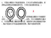 2023届高三一轮复习：细胞膜的结构与功能课件