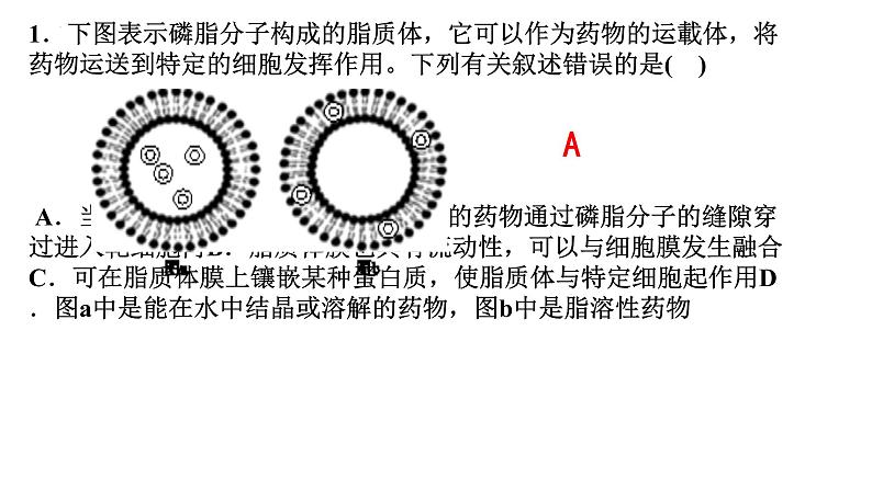 2023届高三一轮复习：细胞膜的结构与功能课件第5页