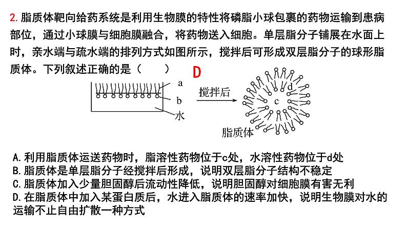 2023届高三一轮复习：细胞膜的结构与功能课件第6页