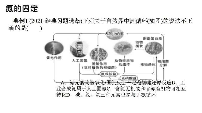 5.2氮及其化合物复习 课件  2021-2022学年高一下学期化学人教版（2019）必修第二册05