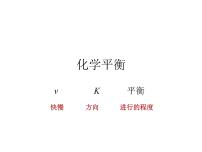 2023届高三化学一轮复习  化学平衡   课件