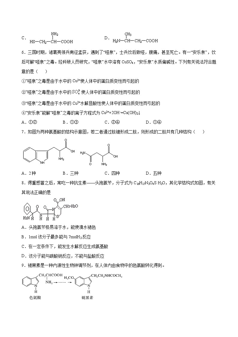 4.2+蛋白质（素养提优B练）-2022-2023学年高二化学课时过关提优AB练（人教版2019选择性必修3）02