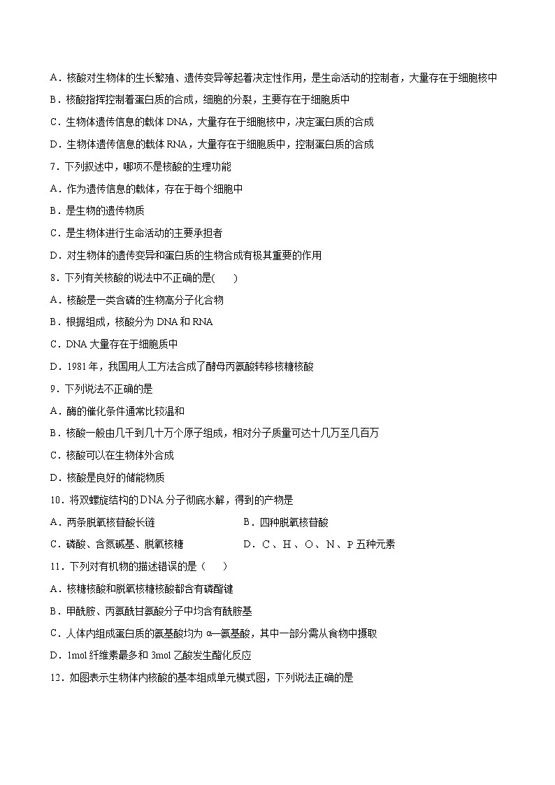 4.3 核酸（基础过关A练）-2022-2023学年高二化学课时过关提优AB练（人教版2019选择性必修3）（原卷版）第2页