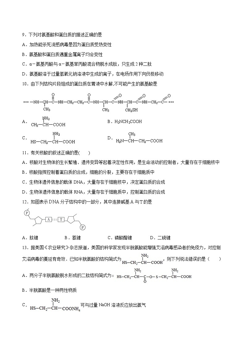 第04单元 生物大分子（B卷•提升能力）-2022-2023学年高二化学同步单元AB卷（人教版2019选择性必修3）03