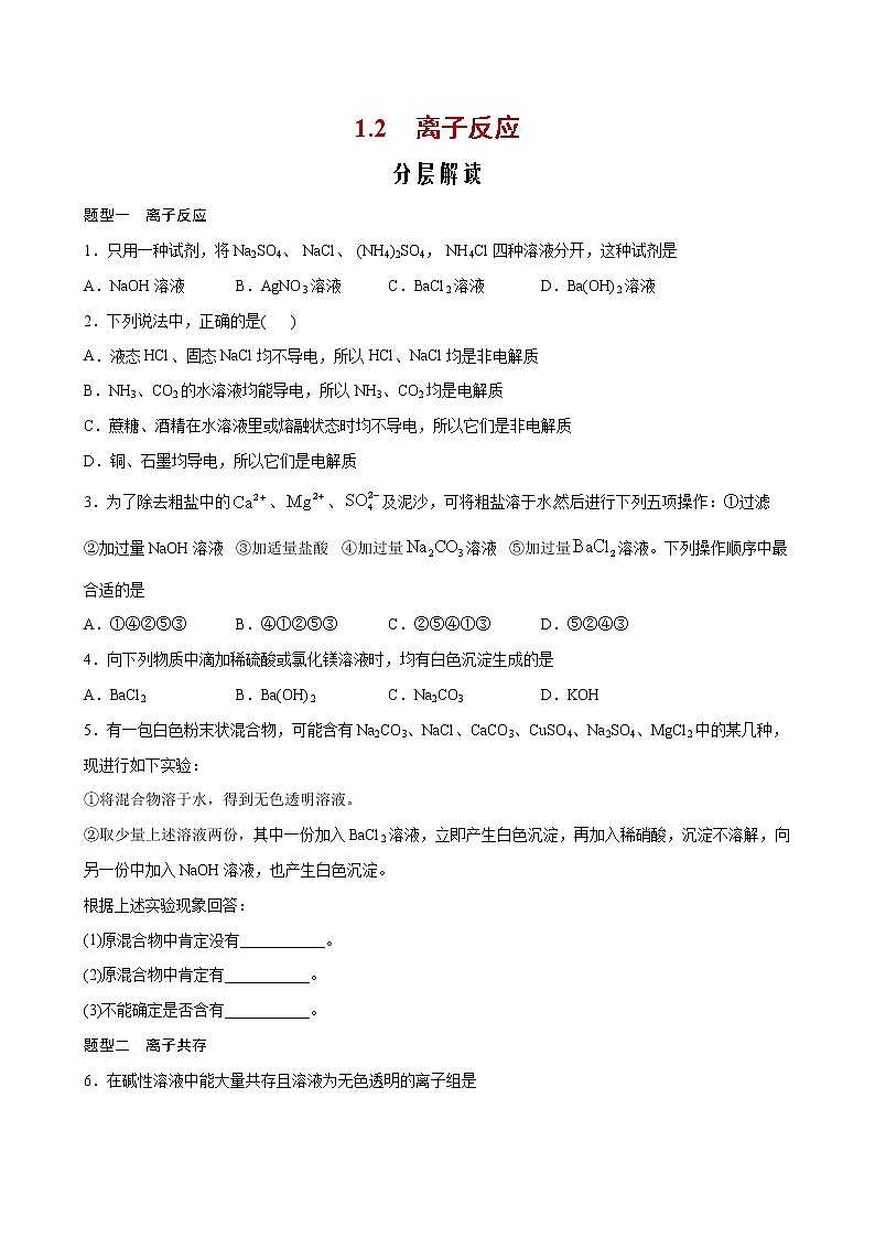 1.2+离子反应【分层解读】-2022-2023学年高一化学考点分层解读与综合训练（人教版2019必修第一册）01
