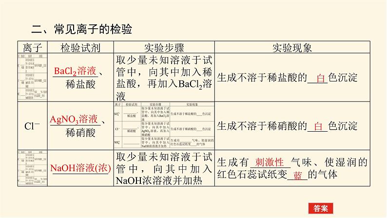 苏教版高中化学必修第一册2.1.2物质的检验　物质性质和变化的探究课件07