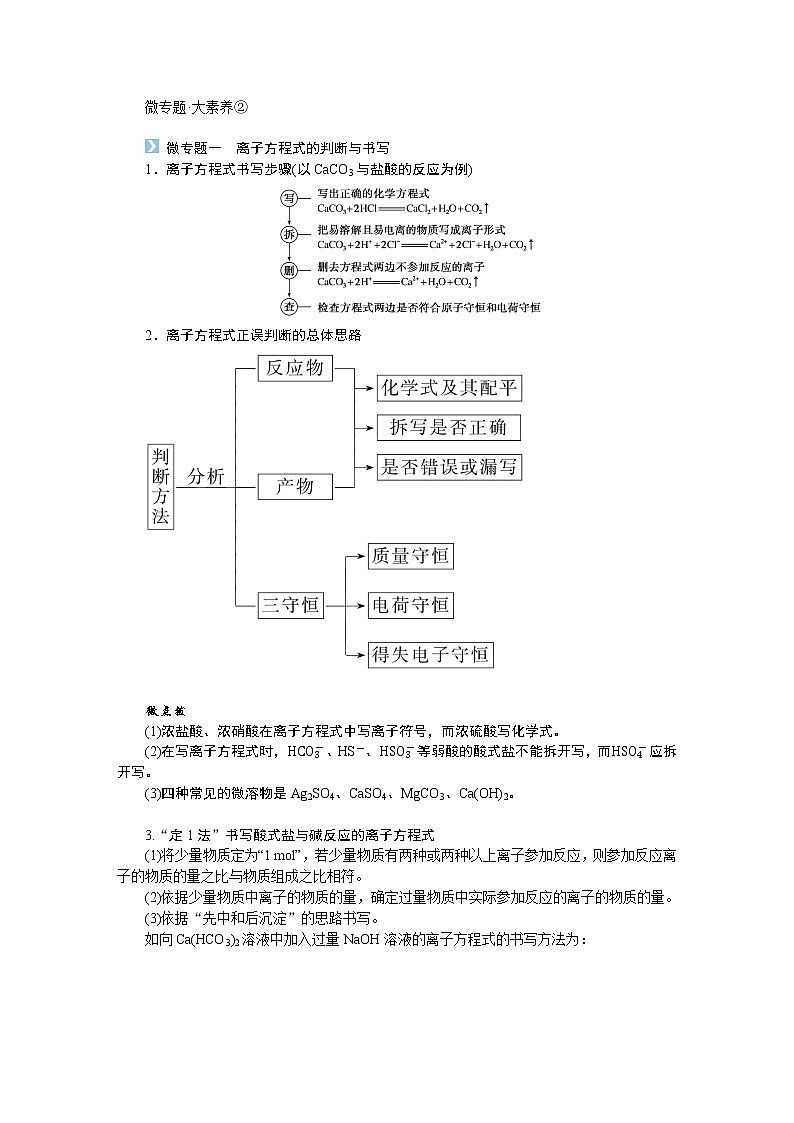 鲁科版高中化学必修第一册微专题大素养②导学案01