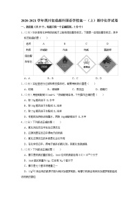 2020-2021学年四川省成都外国语学校高一（上）期中化学试卷