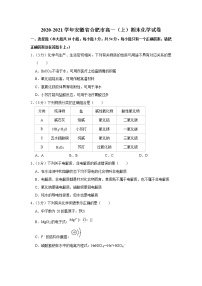 2020-2021学年安徽省合肥市高一（上）期末化学试卷