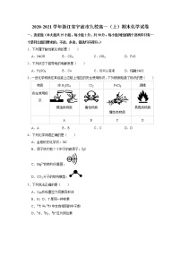 2020-2021学年浙江省宁波市九校高一（上）期末化学试卷