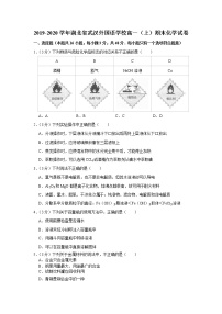 2019-2020学年湖北省武汉外国语学校高一（上）期末化学试卷