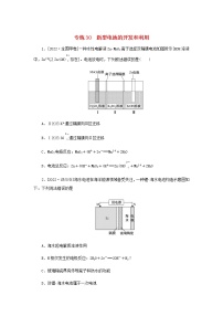 高考化学微专题小练习专练30新型电池的开发和利用含答案