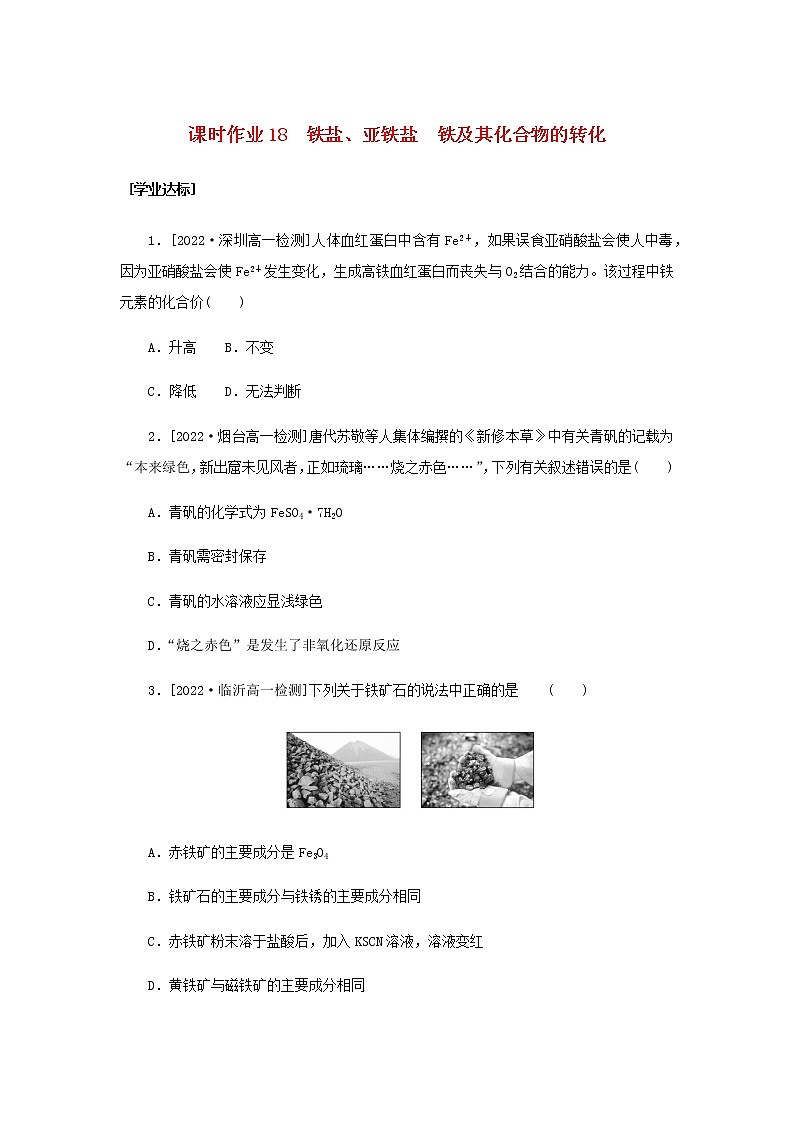 新人教版高中化学必修第一册课时作业18铁盐亚铁盐　铁及其化合物的转化含答案01