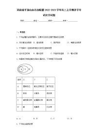 河南省平顶山市名校联盟2022-2023学年高二上学期开学考试化学试题含解析