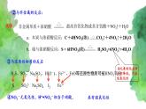 5.2 氮及其化合物(第3课时）(课件)-【备课必备】2022-2023学年高一化学同步优选课件（人教版2019必修第二册）