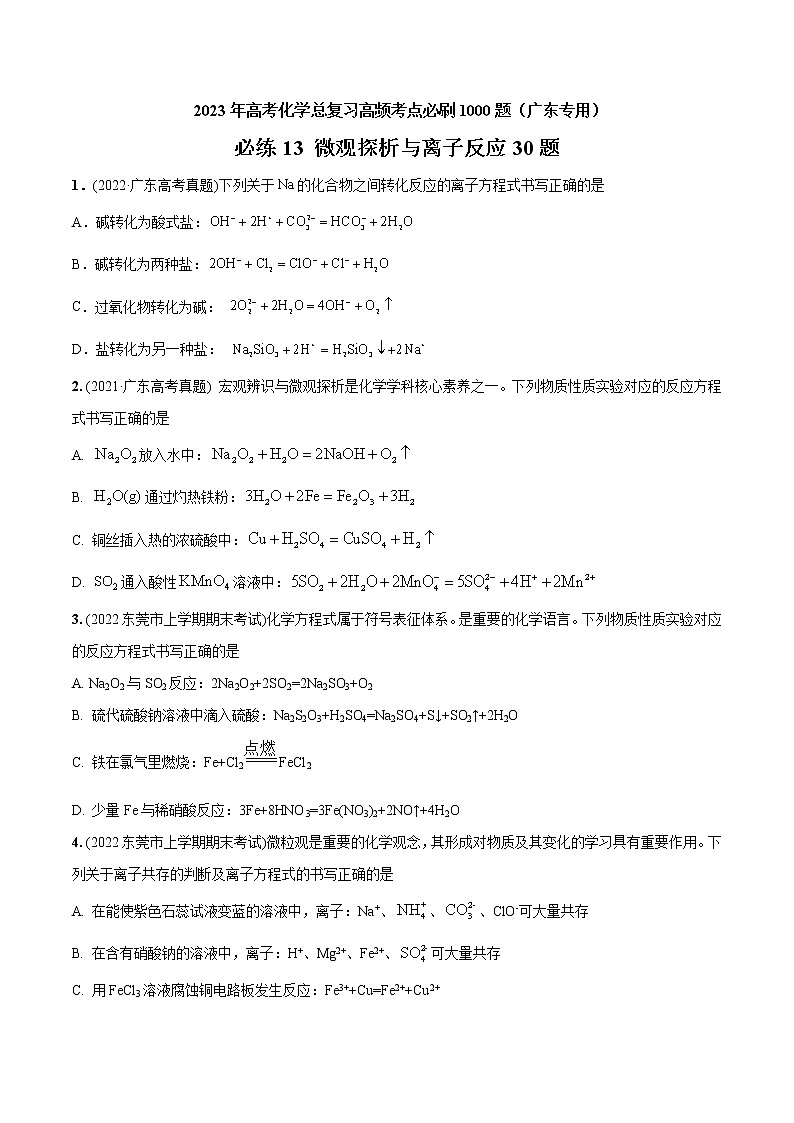 必练13 微观探析与离子反应30题- 2023年高考化学总复习高频考点必刷1000题（广东专用）01