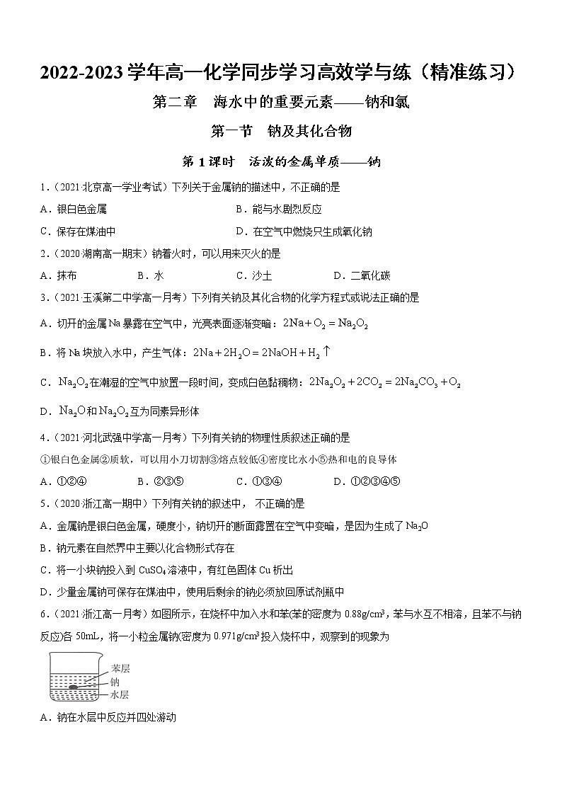 2.1.1 活泼的金属单质——钠（精准练习）-2022-2023学年高一化学同步学习高效学与练（人教版2019必修第一册）（原卷版）第1页