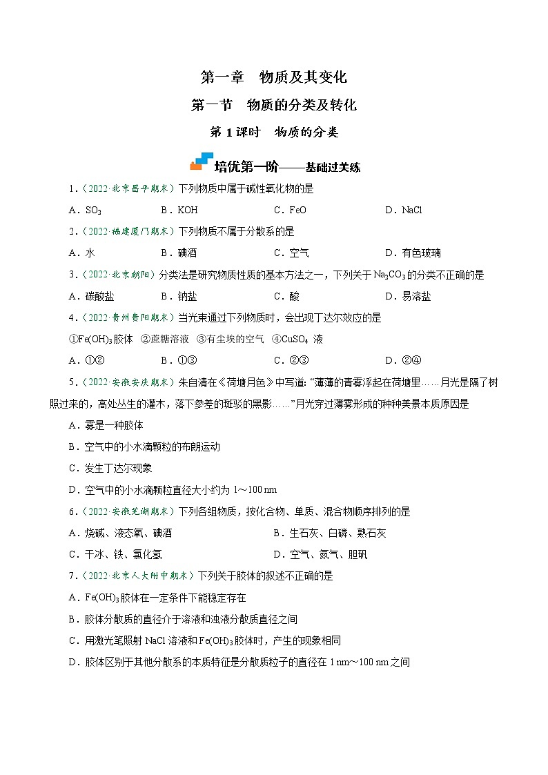 1.1.1 物质的分类 -2022-2023学年高一化学上学期课后培优分级练（人教版2019必修第一册）01