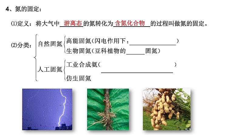 5.2氮及其化合物 第一课时 课件-浙江大学附属中学高中化学人教版（2019）必修第二册第4页