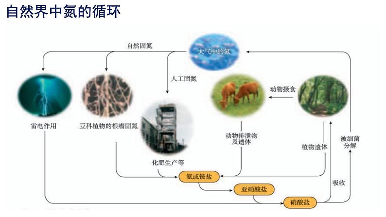 5.2氮及其化合物 第一课时 课件-浙江大学附属中学高中化学人教版（2019）必修第二册第6页