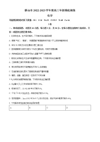 2023唐山高三上学期摸底考试化学含解析