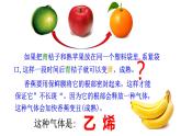 7.2乙烯与有机高分子材料 第1课时-浙江大学附属中学高中化学人教版（2019）必修第二册 课件