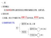 7.2乙烯与有机高分子材料 第2课时-浙江大学附属中学高中化学人教版（2019）必修第二册 课件