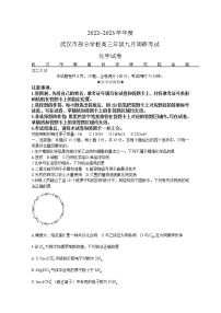 湖北省武汉市部分学校2023届高三上学期9月调研考试化学（Word版附答案）